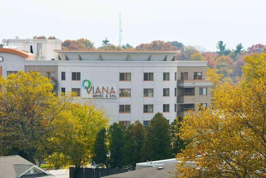 Viana Hotel And Spa, Trademark Collection By Wyndham Westbury Buitenkant foto